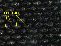 Typical Roll condition before using Special Blade Clean 3G - Magnified View. No LED lighting reflection